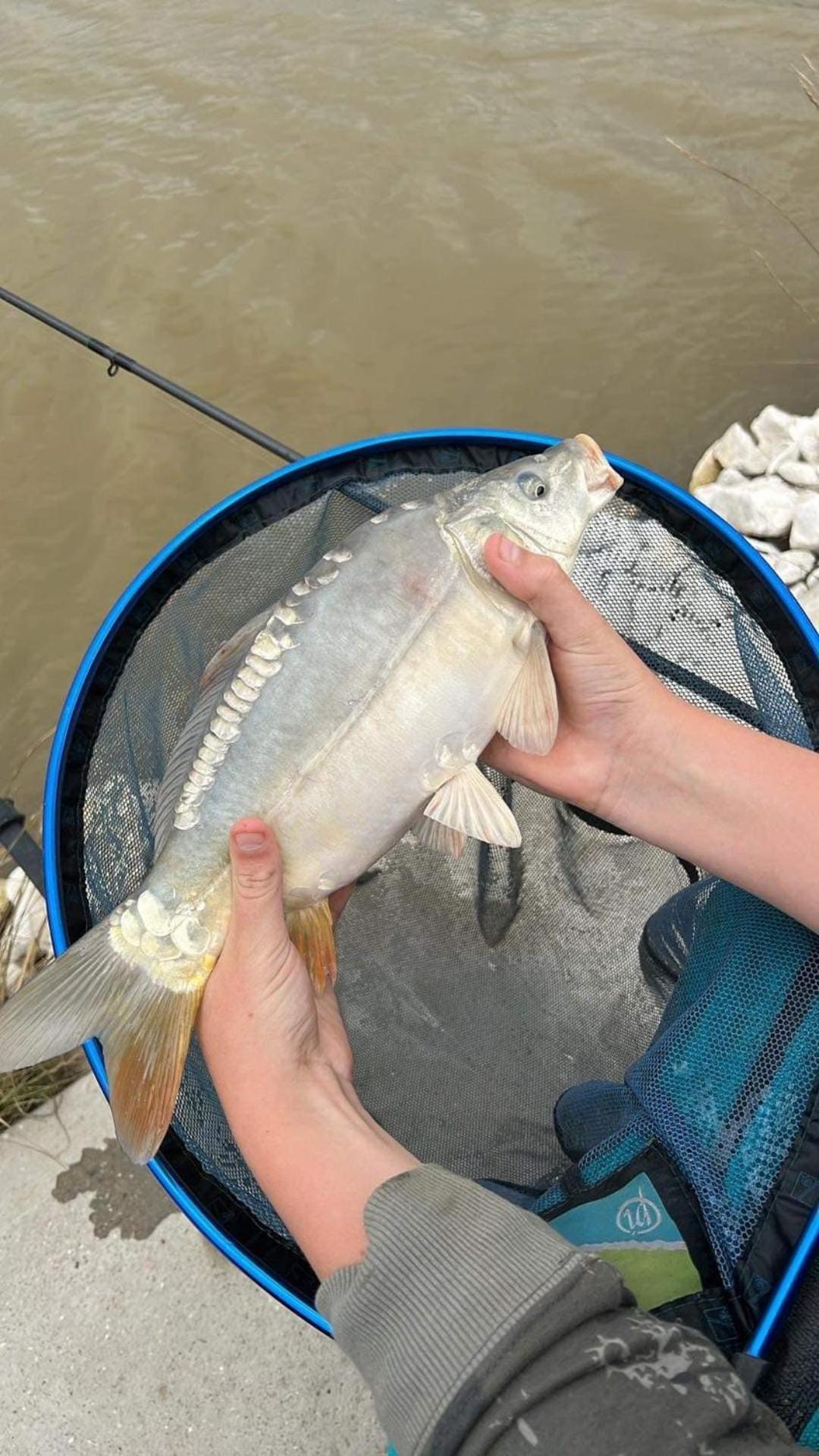 Lakeside Fishing Retreats Boston Bilik gambar