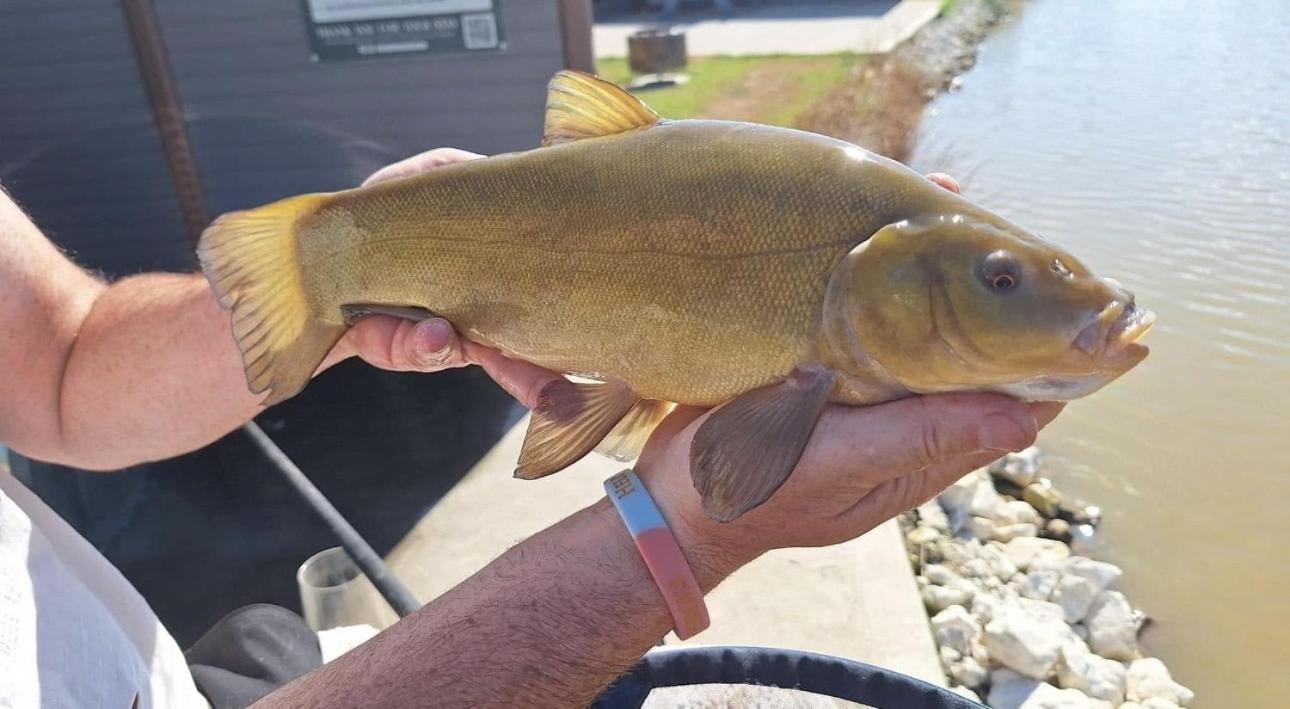 Lakeside Fishing Retreats Boston Bilik gambar