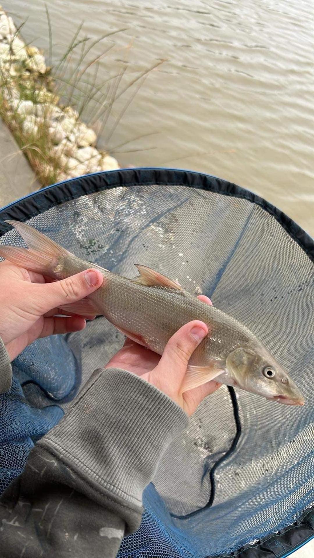 Lakeside Fishing Retreats Boston Bilik gambar