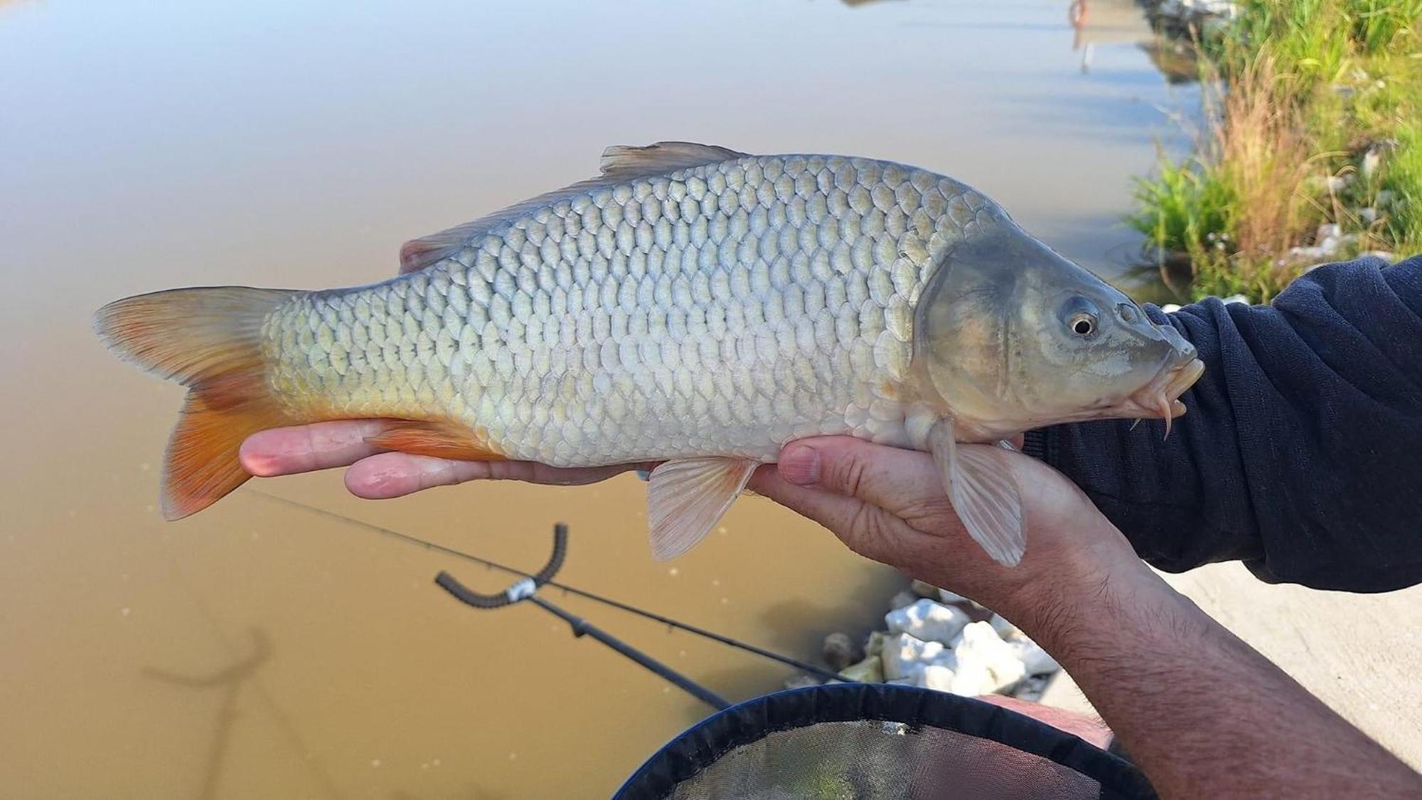 Lakeside Fishing Retreats Boston Bilik gambar