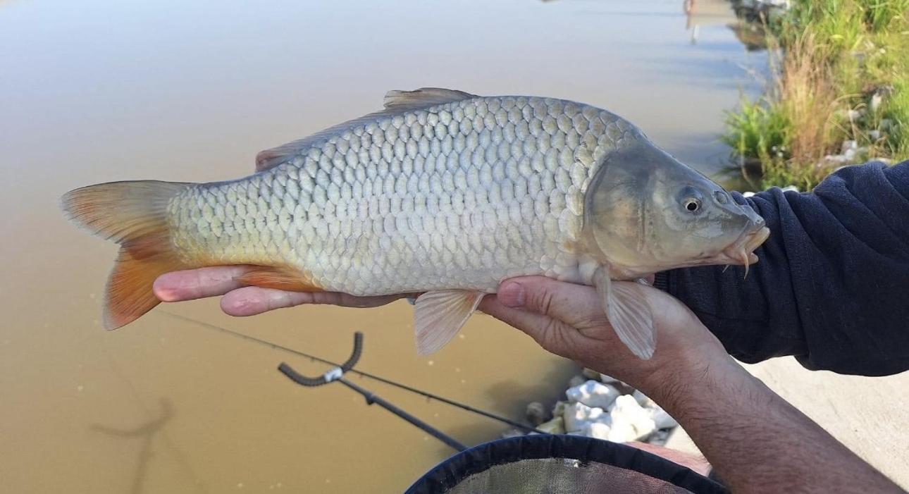 Lakeside Fishing Retreats Boston Bilik gambar