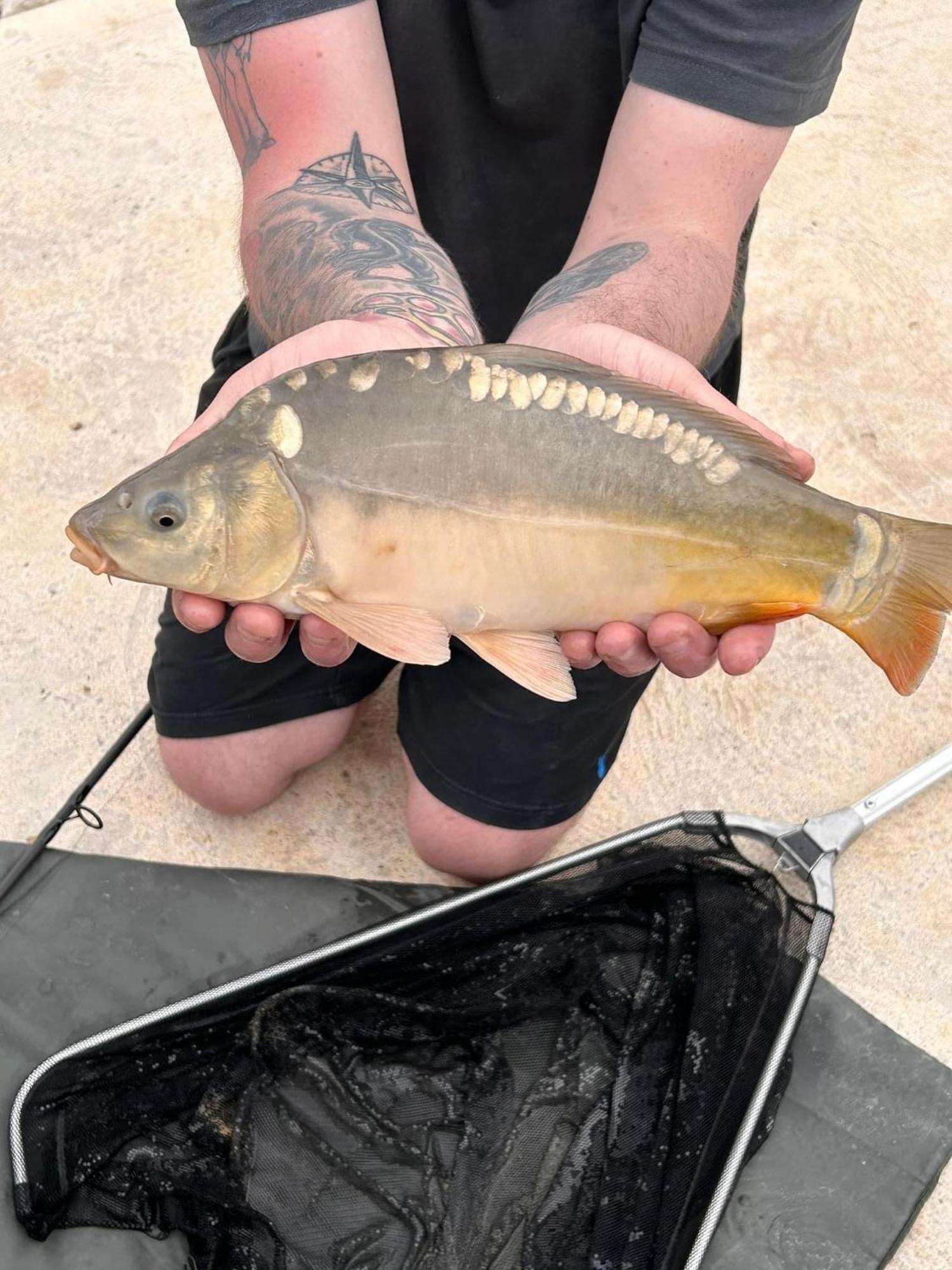 Lakeside Fishing Retreats Boston Bilik gambar
