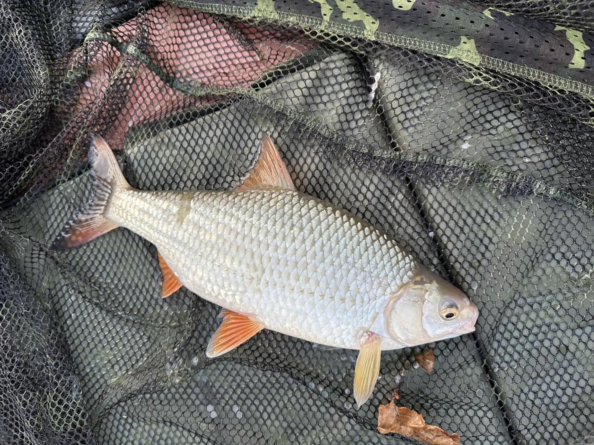 Lakeside Fishing Retreats Boston Bilik gambar