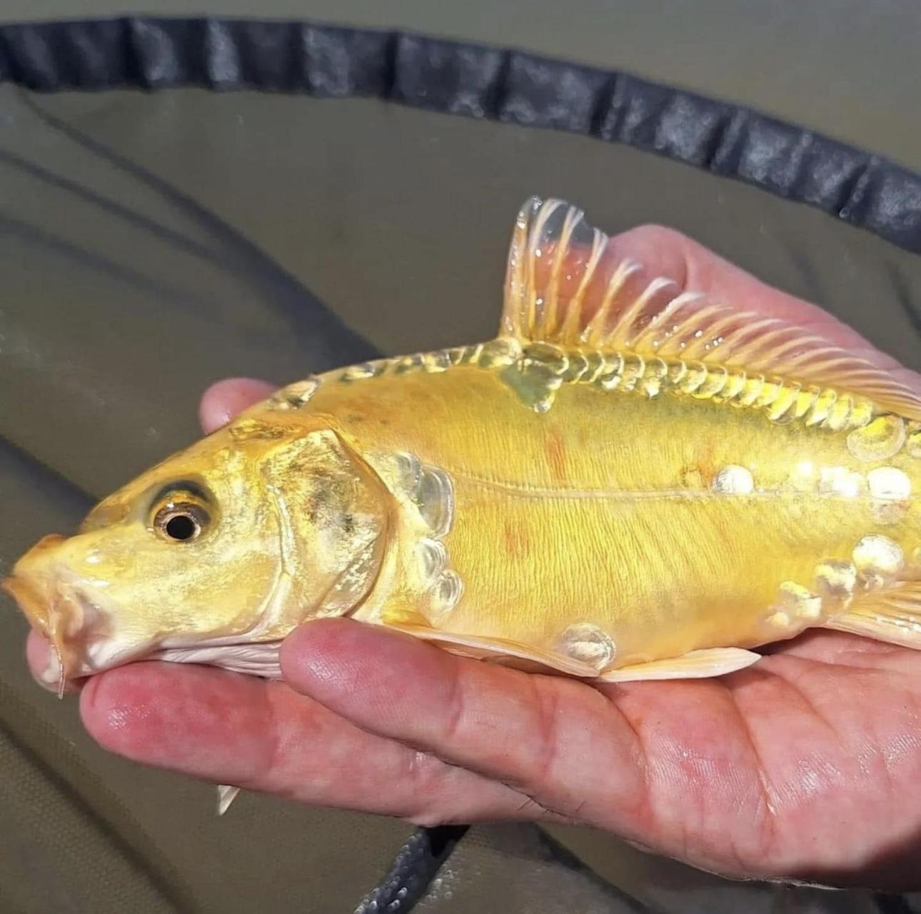 Lakeside Fishing Retreats Boston Luaran gambar